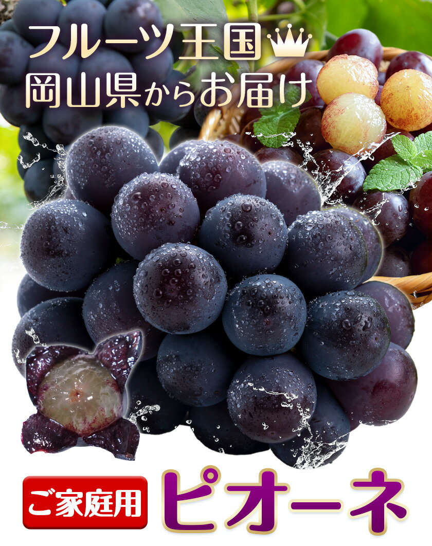 【ふるさと納税】ぶどう ご家庭用 ピオーネ 約 1.2kg 約 2kg 約 5kg 2房 ~ 13房 もりおか農園《2025年9月上旬-10月中旬頃出荷》岡山県 浅口市 送料無料 ぶどう フルーツ 果物 くだもの デザート おやつ【配送不可地域あり】
