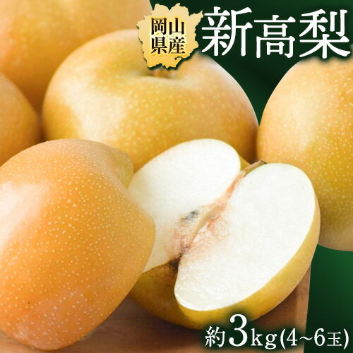 【ふるさと納税】梨 岡山県産 新高梨 約3kg ( 4~6玉 ) 【配送不可地域あり】 株式会社藍《10月中旬-11月中旬頃出荷》 岡山県 浅口市 岡山県産 なし フルーツ 果物 くだもの ナシ 大玉 新高 送料無料 【ふるさと納税】梨 岡山県産 新高梨 約3kg ( 4~6玉 ) 【配送不可地域あり】 株式会社藍《10月中旬-11月中旬頃出荷》 岡山県 浅口市 岡山県産 なし フルーツ 果物 くだもの ナシ 大玉 新高 送料無料
