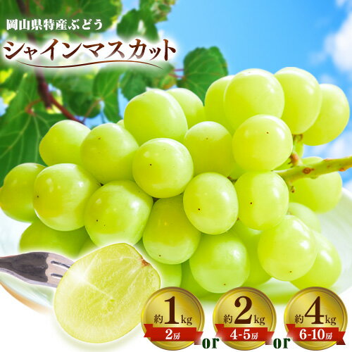 【ふるさと納税】シャインマスカット 選べる 約1kg(2房) 約2kg(4-5房)約4kg(6-10房) Kazu Farm《9月上旬-10月下旬頃出荷》 岡山県 浅口市 岡山県産 ぶどう フルーツ 果物 くだもの 送料無料