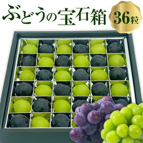 【ふるさと納税】【先行予約】ぶどうの宝石箱 1箱 36粒 たけまさぶどう園 《2025年8月上旬-10月中旬頃出荷》岡山県 浅口市 シャインマスカット ニューピオーネ オーロラブラック フルーツ 果物 くだもの ぶどう マスカット 国産 岡山県産 【配送不可地域あり】(離島)