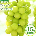 【ふるさと納税】【先行予約】訳あり シャインマスカット 約1.5kg(2~4房)株式会社日本植生グループ本社 NISSHOKU FARM《2025年10月上旬-...