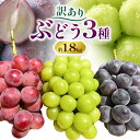 【ふるさと納税】【先行予約】訳あり ぶどう 3種 セット 約1.8kg ( 3~4房 ) シャインマスカット ピオーネ クイーンニーナ オーロラブラック 株式会...