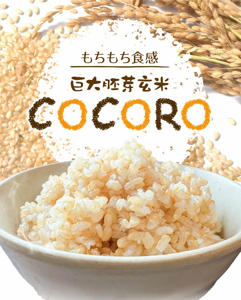 【ふるさと納税】巨大胚芽米COCORO 玄米 選べる約5kg 約10kg 約30kg 【配送不可地域あり】 (離島) ドリームクリエイト早瀬農産早瀬 早瀬亨《2025年10月中旬-11月中旬頃出荷》 岡山県 浅口市 岡山県産 米 コメ こめ 玄米 送料無料