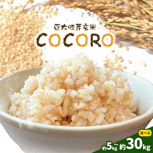 楽天市場】岡山 玄米 30kgの通販 楽天市場】岡山 玄米 30kgの通販