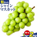 【ふるさと納税】シャインマスカット 粒カット ばら 1kg 2kg 【先行予約】 Lino & Kai Farm《2025年10月上旬-11月中旬頃出荷》マスカ...