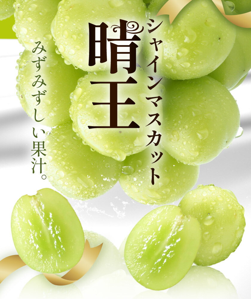 【2026年発送先行予約】【ふるさと納税】シャインマスカット 晴王 2房 ～ 5房 定期便 シャイン マスカット《2026年9月中旬-10月中旬頃出荷予定》 晴レ乃青果(岡山中央卸売市場店(富士紙工有限会社)) 送料無料 岡山県 浅口市 フルーツ 果物 岡山県産【配送不可地域あり】