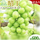 【ふるさと納税】【先行予約】ぶどう 訳ありシャインマスカット晴王 約600g 1房 橋田商店有限会社《9月中旬-11月中旬頃出荷》 岡山県 浅口市 岡山県産 ぶ...
