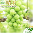 【ふるさと納税】ぶどう シャインマスカット晴王【特大房】計2kg 約1kg×2房 橋田商店有限会社《9月上旬-11月中旬頃出荷》 岡山県 浅口市 岡山県産 ぶど...