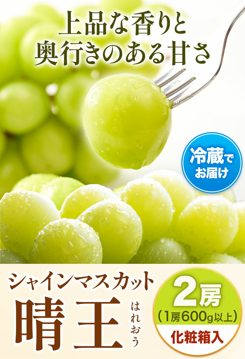 【ふるさと納税】【先行予約】【2ヶ月定期便】 シャインマスカット晴王 はれおう 2房入り(1房600g以上) 化粧箱入 株式会社山博(中本青果)《2025年8月・9月計2回出荷予定》 定期 計2回お届け 岡山県 浅口市 ぶどう マスカット 果物 ギフト 送料無料【配送不可地域あり】