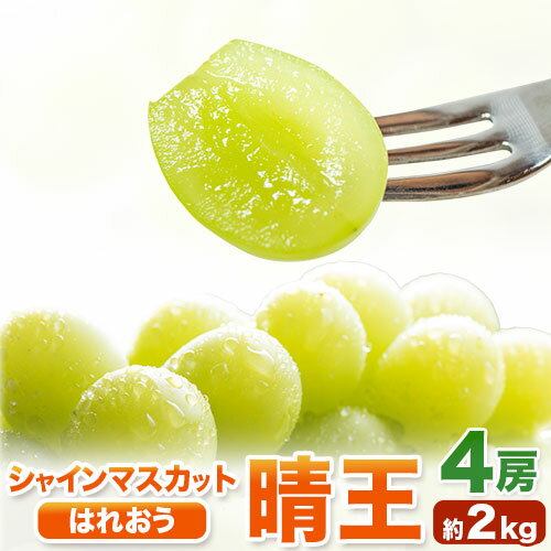 【ふるさと納税】【2025年先行予約】シャインマスカット晴王 はれおう 4房(1房480g以上) 約2kg 株式会社山博(中本青果)《2025年8月下旬-10月中旬頃出荷》岡山県 浅口市 晴王 ぶどう マスカット 大粒 フルーツ 秀品 旬 果物 贈り物 ギフト 送料無料 【配送不可地域あり】