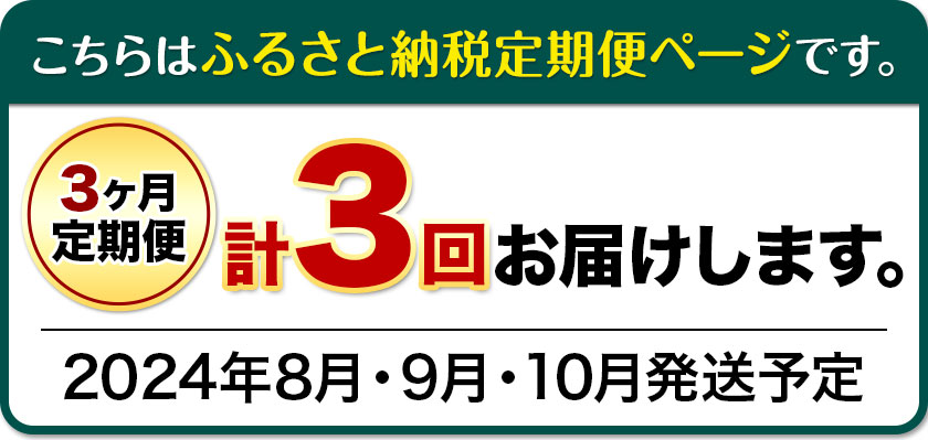 【ふるさと納税】【3ヶ月定期便】 シャインマスカット晴王 はれおう 2房入り(1房600g以上) 化粧箱入 株式会社山博(中本青果)《2024年8月・9月・10月計3回出荷予定》 定期 計3回お届け 岡山県 浅口市 ぶどう マスカット 送料無料【配送不可地域あり】