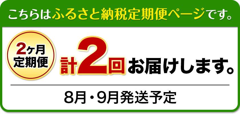 【ふるさと納税】【先行予約】【2ヶ月定期便】 シャインマスカット晴王 はれおう 2房入り(1房600g以上) 化粧箱入 株式会社山博(中本青果)《2025年8月・9月計2回出荷予定》 定期 計2回お届け 岡山県 浅口市 ぶどう マスカット 果物 ギフト 送料無料【配送不可地域あり】