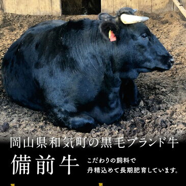 【ふるさと納税】DD-20 牛肉 備前牛(黒毛牛)焼肉セット 700g