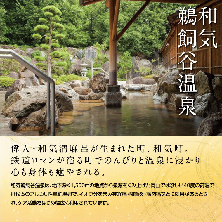 【ふるさと納税】　温泉　宿泊　食事付　ペア　和気鵜飼谷温泉ペア宿泊券1泊2食付き（2名様1室）　GG-6その2