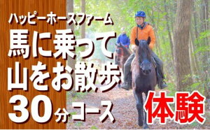 【ふるさと納税】DD-55 馬に乗って山をお散歩30分コースチケット