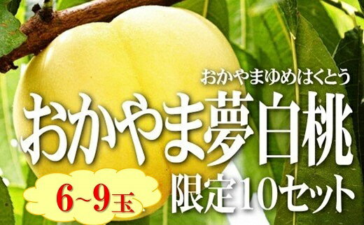 29位! 口コミ数「0件」評価「0」　桃　おかやま夢白桃（6〜9個・約2.0kg）化粧箱入り　ZZ−15