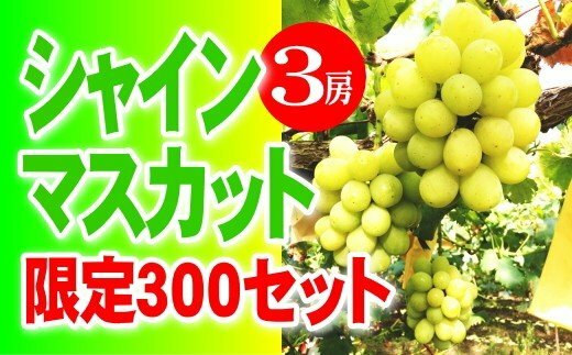 【ふるさと納税】ぶどう　シャインマスカット　岡山県　和気町　3房　シャインマスカット優品（3房）　EE-17