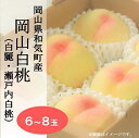 【ふるさと納税】 桃 岡山県 白桃 岡山白桃6~8玉・約2.0kg(白麗・瀬戸内白桃)化粧箱入り Cz-19