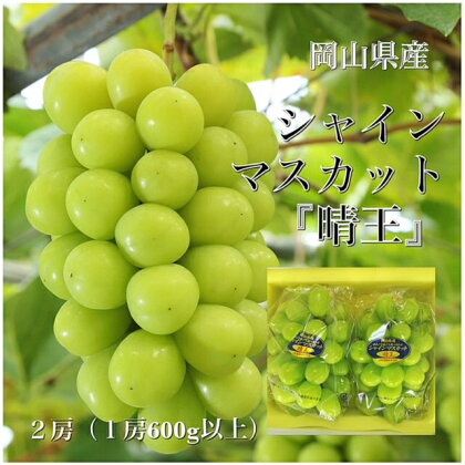 【令和6年発送・先行予約】岡山県産　シャインマスカット(1房600g以上・晴王)2房　化粧箱入り　aa-100　※北海道・沖縄県・離島への配送はできません。