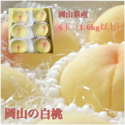 【令和6年発送・先行予約】岡山県産　白桃6玉（合計1.6kg以上）化粧箱入り　rr-100　※北海道・沖縄県・離島への配送はできません。