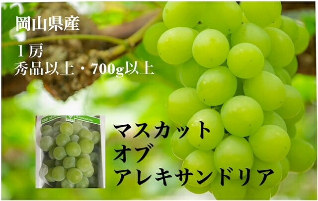 [令和6年発送・先行予約]岡山県産 マスカットオブアレキサンドリア(700g以上・秀品以上)1房 化粧箱入り jj-103 ※北海道・沖縄県・離島への配送はできません。