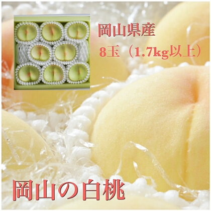 【令和6年発送・先行予約】岡山県産　白桃8玉（合計1.7kg以上）　化粧箱入り　ZZ-11　※北海道・沖縄県・離島への配送はできません。
