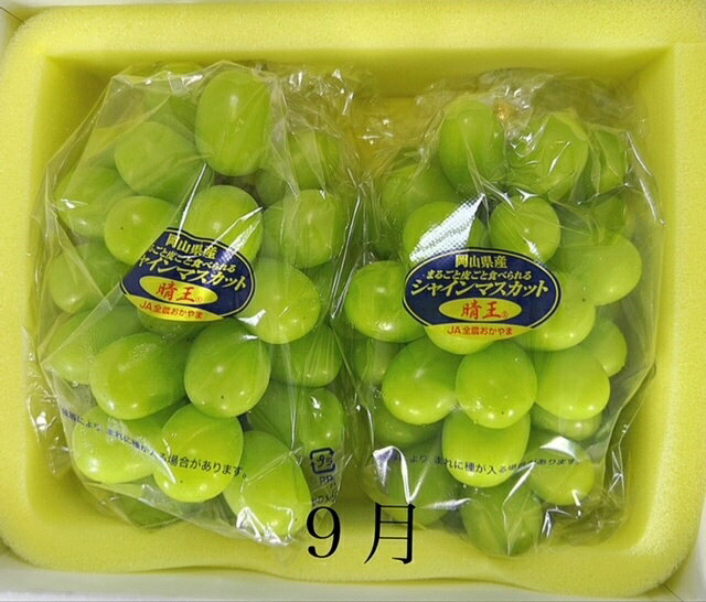 【ふるさと納税】【令和8年発送・先行予約】岡山県産 晴れの国岡山フルーツ7月9月11月定期便3回 化粧箱入り（岡山県 和気町 白桃 シャインマスカット あたご梨）GH-6　※北海道・沖縄県・離島への配送はできません。