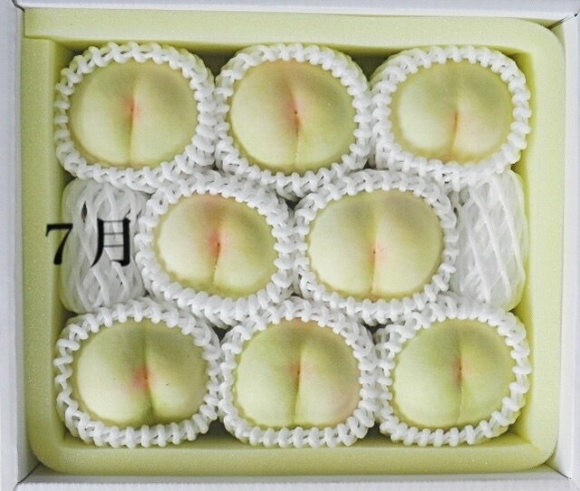 【ふるさと納税】【令和8年発送・先行予約】岡山県産 晴れの国岡山フルーツ7月9月11月定期便3回 化粧箱入り（岡山県 和気町 白桃 シャインマスカット あたご梨）GH-6　※北海道・沖縄県・離島への配送はできません。