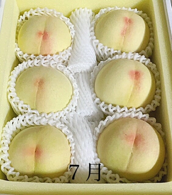 【ふるさと納税】【令和8年発送・先行予約】岡山県産 晴れの国岡山フルーツ7月8月定期便2回 化粧箱入り（岡山県 和気町 白桃 シャインマスカット）GT-1　※北海道・沖縄県・離島への配送はできません。