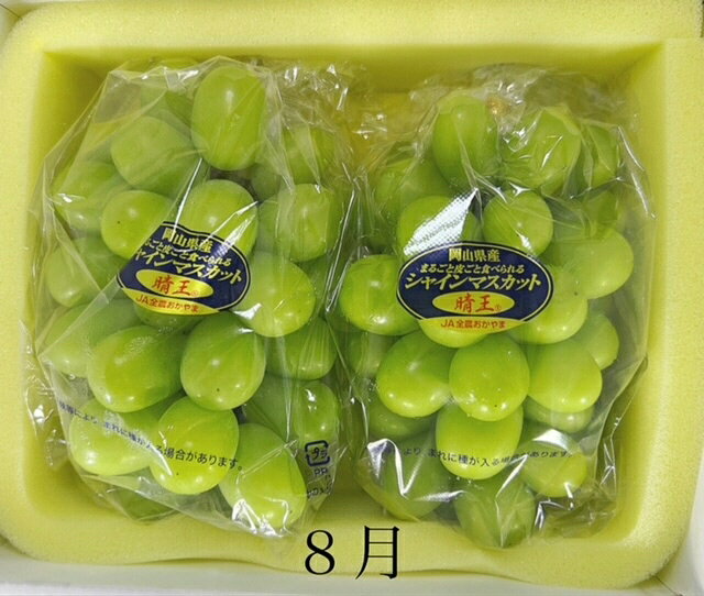 【ふるさと納税】【令和8年発送・先行予約】岡山県産 晴れの国岡山フルーツ7月8月定期便2回 化粧箱入り（岡山県 和気町 白桃 シャインマスカット）GT-1　※北海道・沖縄県・離島への配送はできません。