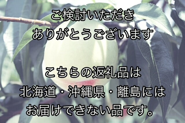 【ふるさと納税】【令和6年発送・先行予約】岡山県産　白桃（1玉200g以上）8玉　等級：ロイヤル　化粧箱入り　Fg-2 3