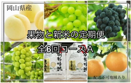 【令和6年発送・先行予約】岡山県産 果物と新米の定期便 全6回コースA（岡山県 和気町 白桃 マスカット ピオーネ ニューピオーネ シャインマスカット ヒノヒカリ きぬむすめ あたご梨）Te-1　※北海道・沖縄県・離島への配送はできません。