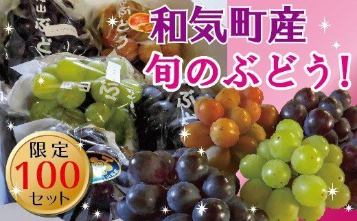 【ふるさと納税】ニューピオーネと旬のぶどう2.0kg BS-26