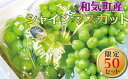 商品画像2