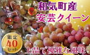 【ふるさと納税】安芸クイーン2.0kg(4~5房) TT-115