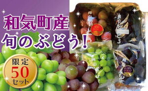 【ふるさと納税】シャインマスカットと旬のぶどうセット2.0kg TT-116