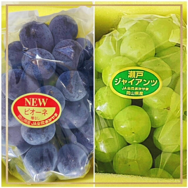 【ふるさと納税】【令和8年発送・先行予約】フルーツ定期便 全3回コースB（岡山県 和気町 ピオーネ ニューピオーネ 瀬戸ジャイアンツ シャインマスカット あたご梨）vv-110　※北海道・沖縄県・離島への配送はできません。