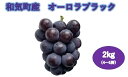 【ふるさと納税】オーロラブラック2.0kg(4~5房)TT-114