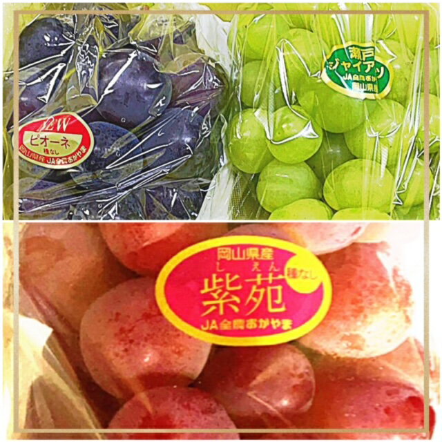 【ふるさと納税】【令和8年発送・先行予約】フルーツ定期便5回コースB（岡山県 和気町 マスカット・オブ・アレキサンドリア 白桃 ピオーネ ニューピオーネ 瀬戸ジャイアンツ シャインマスカット あたご梨）JZ-1　※北海道・沖縄県・離島への配送はできません。