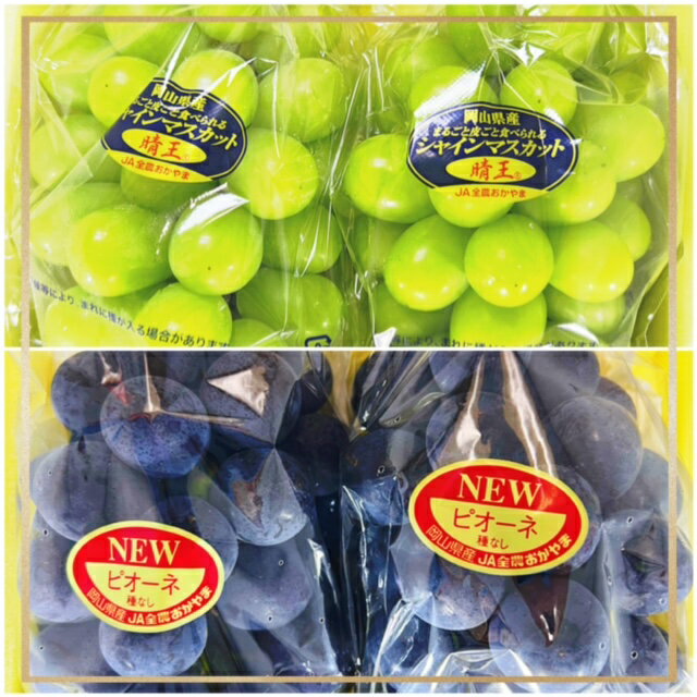 【ふるさと納税】【令和8年発送・先行予約】フルーツ定期便3回コース（岡山県 和気町 白桃 ピオーネ ニューピオーネ シャインマスカット）IT-2　※北海道・沖縄県・離島への配送はできません。