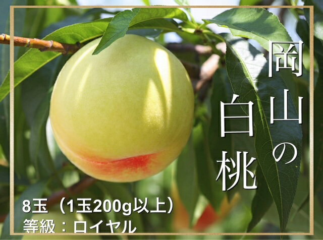 商品情報名称白桃　等級：ロイヤル産地名国内産(岡山県産)内容量8玉（1玉200g以上）配送について令和6年7月上旬〜令和6年8月中旬※北海道、沖縄県、離島へはお届けできません。提供株式会社　山博 ・ふるさと納税よくある質問はこちら ・寄付申...