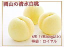【ふるさと納税】【令和7年発送・先行予約】岡山県産 清水白桃(1玉300g以上)6玉 等級:ロイヤル 化粧箱入り Iz-1