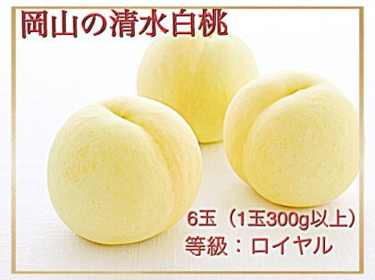 【令和6年発送・先行予約】岡山県産　清水白桃（1玉300g以上）6玉　等級：ロイヤル　化粧箱入り　Iz-1