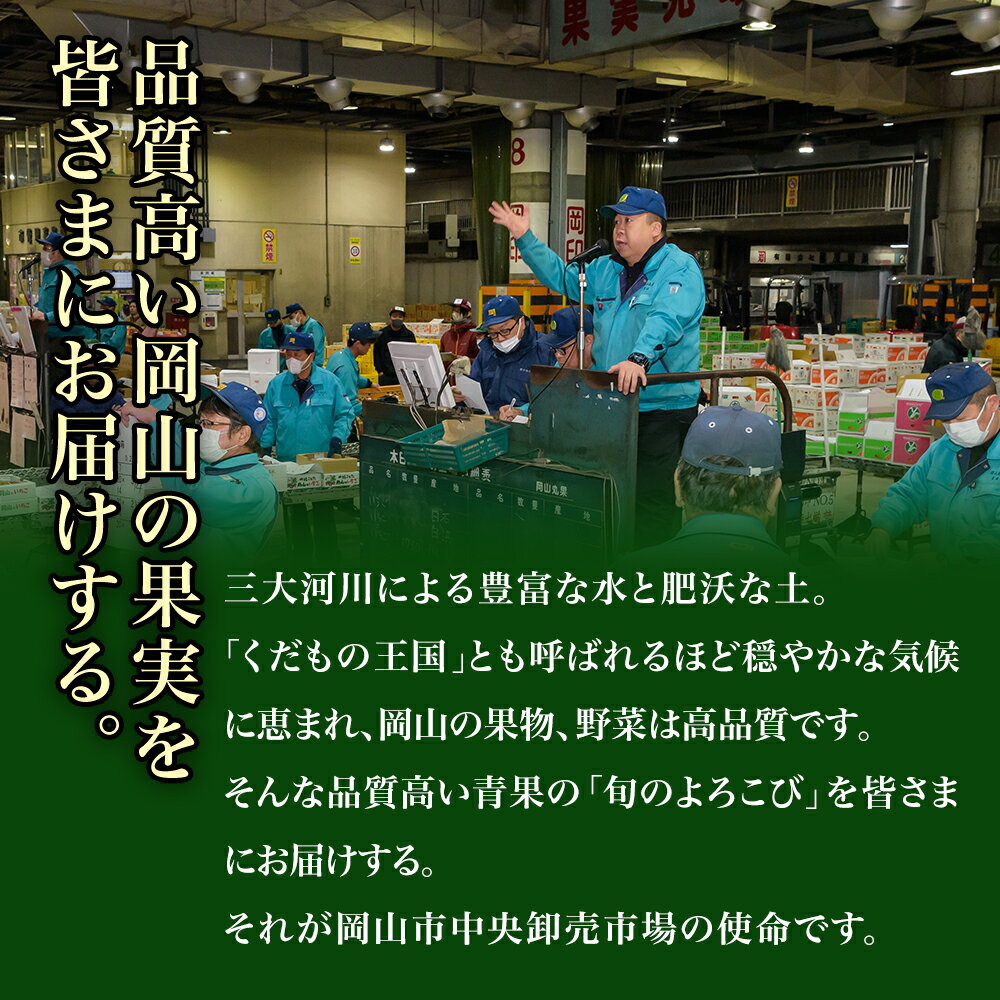 【ふるさと納税】【令和6年発送・先行予約】岡山県産　マスカットオブアレキサンドリア（700g以上・秀品以上）1房　化粧箱入り　jj-103　※北海道・沖縄県・離島への配送はできません。