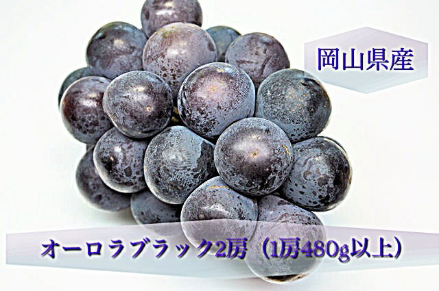 [令和7年発送・先行予約]岡山県産 オーロラブラック2房(1房480g以上)化粧箱入り