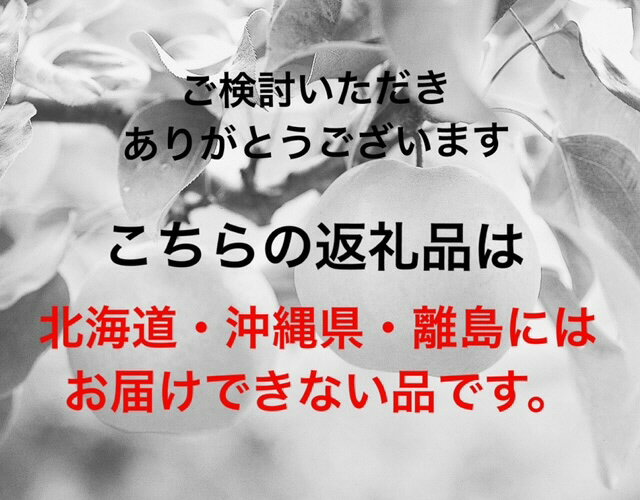 【ふるさと納税】【令和7年発送・先行予約】岡山県産 黄金桃 6玉（合計1.6kg以上）化粧箱入り Cz-11