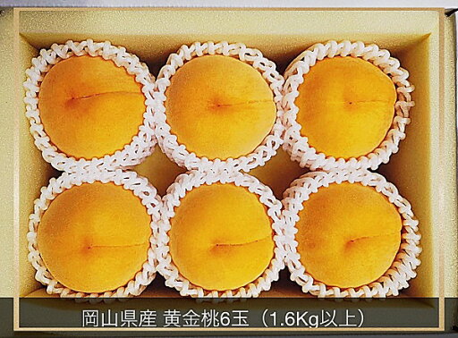 【ふるさと納税】【令和7年発送・先行予約】岡山県産 黄金桃 6玉(合計1.6kg以上)化粧箱入り Cz-11 【ふるさと納税】【令和7年発送・先行予約】岡山県産 黄金桃 6玉(合計1.6kg以上)化粧箱入り Cz-11