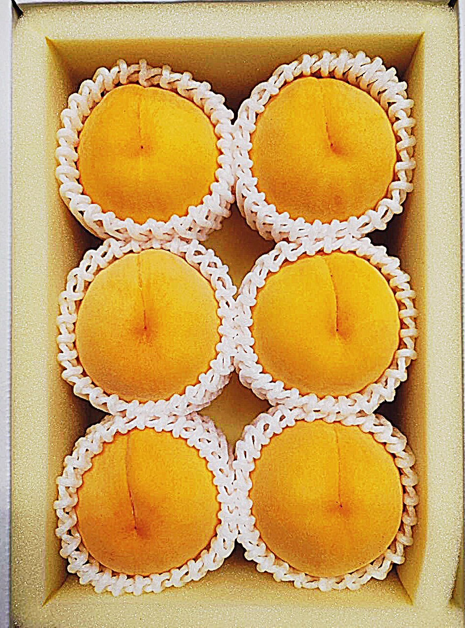 【ふるさと納税】【令和7年発送・先行予約】岡山県産 桃食べ比べ全2回コース Fg-8