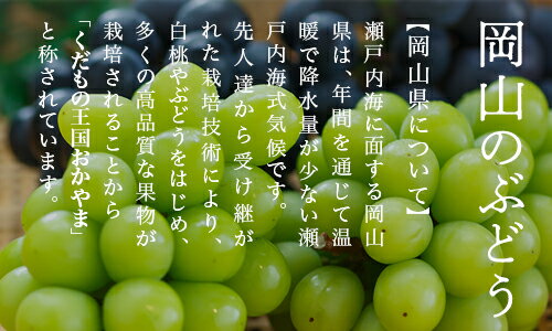 【ふるさと納税】【令和7年発送・先行予約】岡山県産　マスカットオブアレキサンドリア（700g以上・秀品以上）1房　化粧箱入り　Cz-8　※北海道・沖縄県・離島への配送はできません。