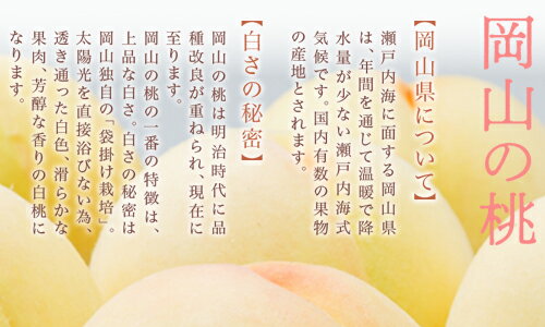 【ふるさと納税】【令和8年発送・先行予約】岡山県産　白桃8玉（合計1.7kg以上）　化粧箱入り　Do-1　※北海道・沖縄県・離島への配送はできません。
